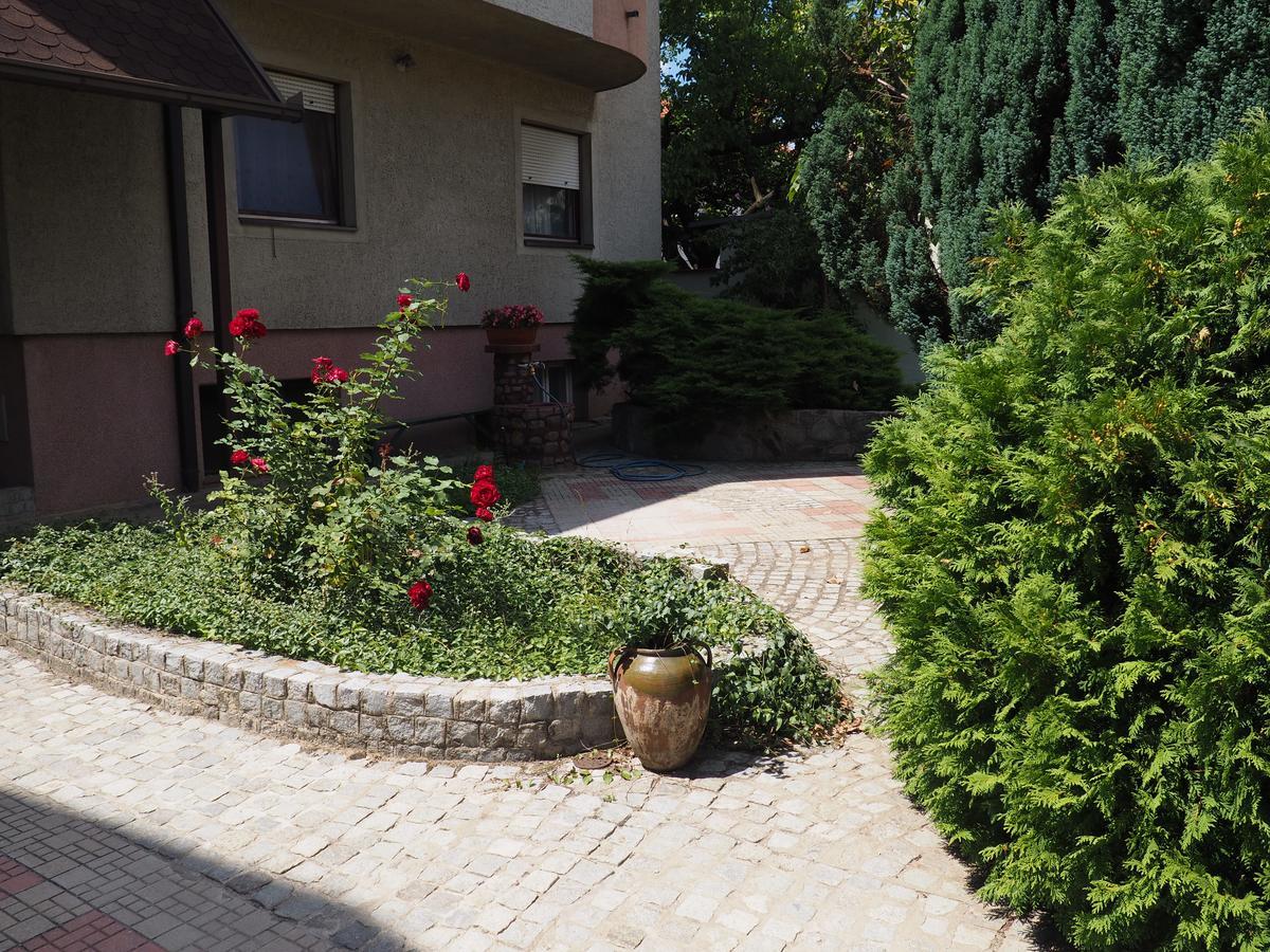 Guest House Stefanovic Враня Екстериор снимка