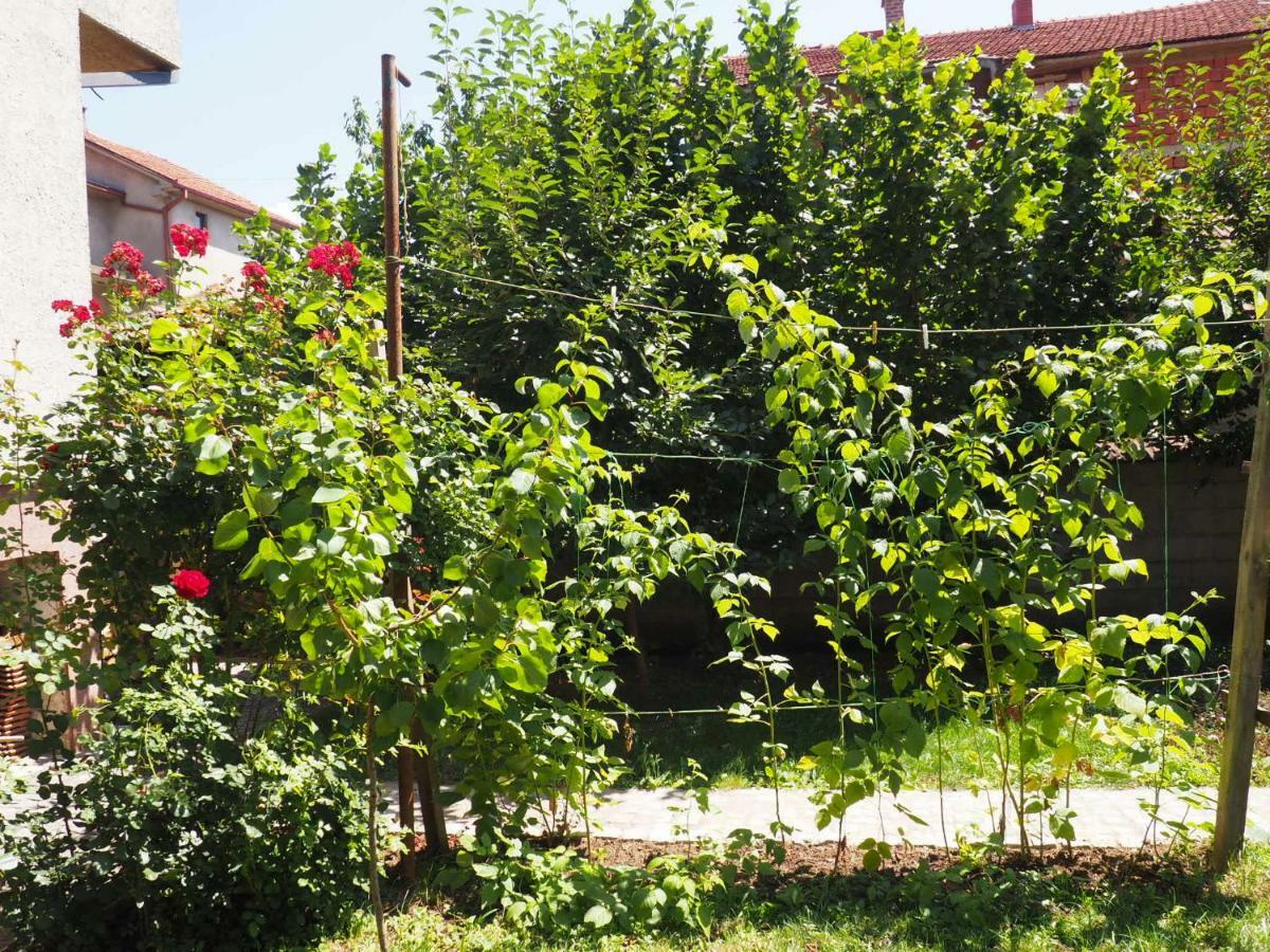 Guest House Stefanovic Враня Екстериор снимка